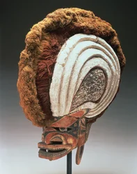Helmet Mask (tatanua), Pohjois-Uusi Irlanti, Papua-Uusi-Guinea, 1884-95 (puu, maali, opercula-kuoret, kalkkikipsi, kasvikuitu, kuori, kaarnakangas, rottinki ja naru) (katso myös 169883)
